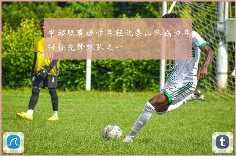 中超联赛逐步年轻化泰山队成为年轻化先锋球队之一