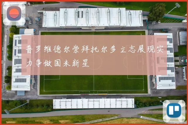 普罗维德尔崇拜托尔多立志展现实力争做国米新星
